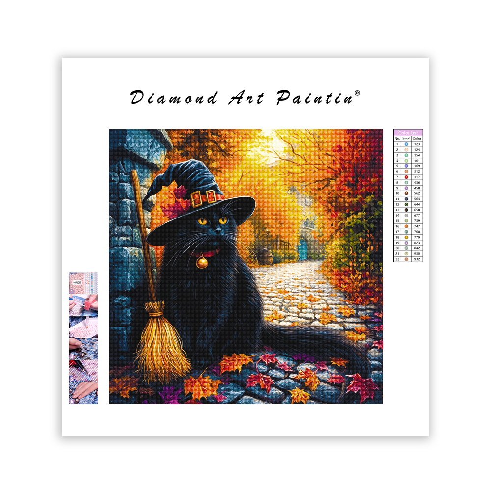 Chapeau De SorcièRe Et Manche à Balai - Peinture Au Diamant