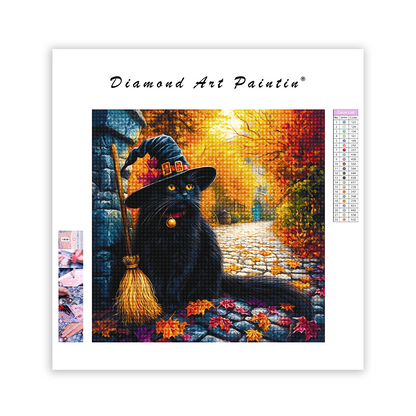 Chapeau De SorcièRe Et Manche à Balai - Peinture Au Diamant